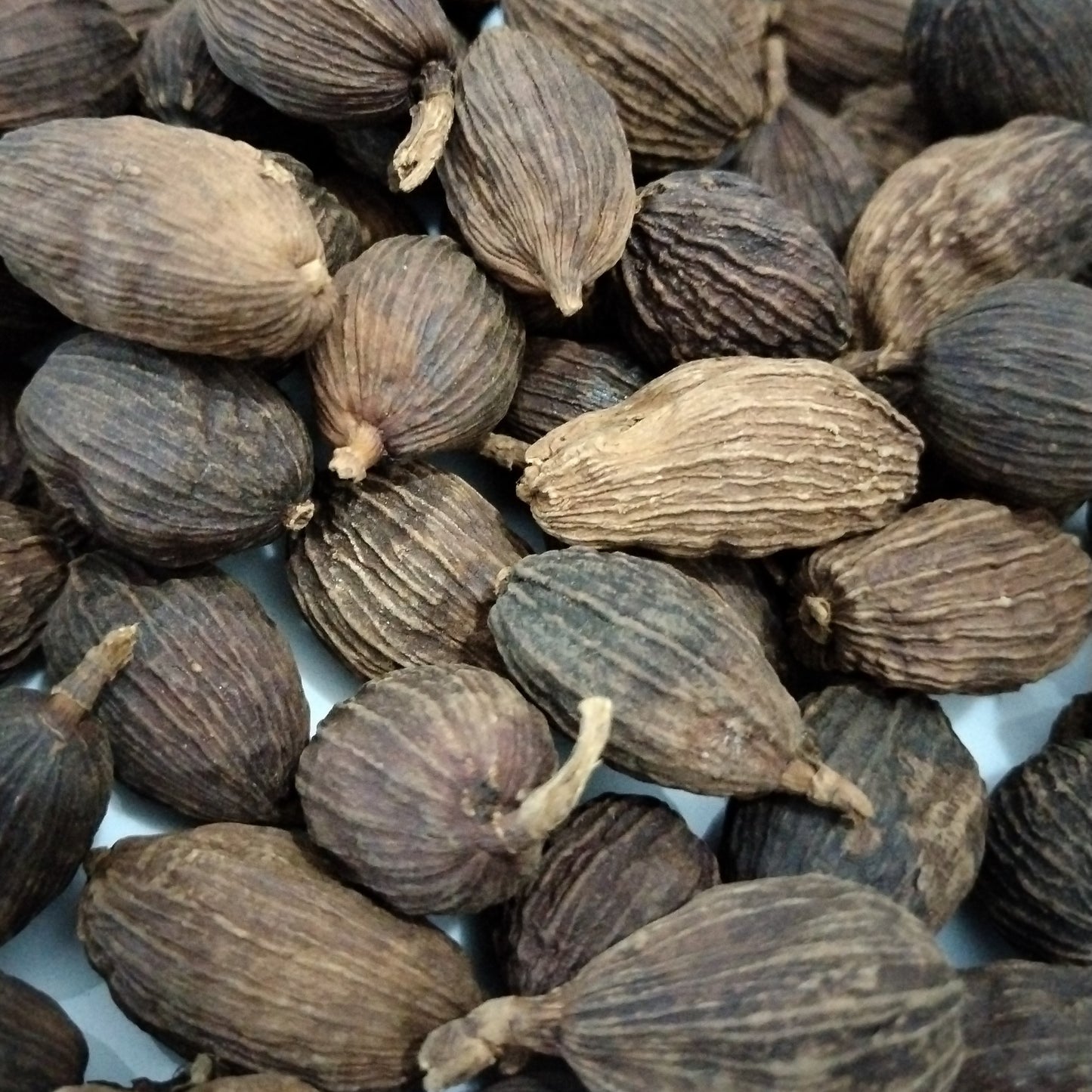 Cardamomo Preto