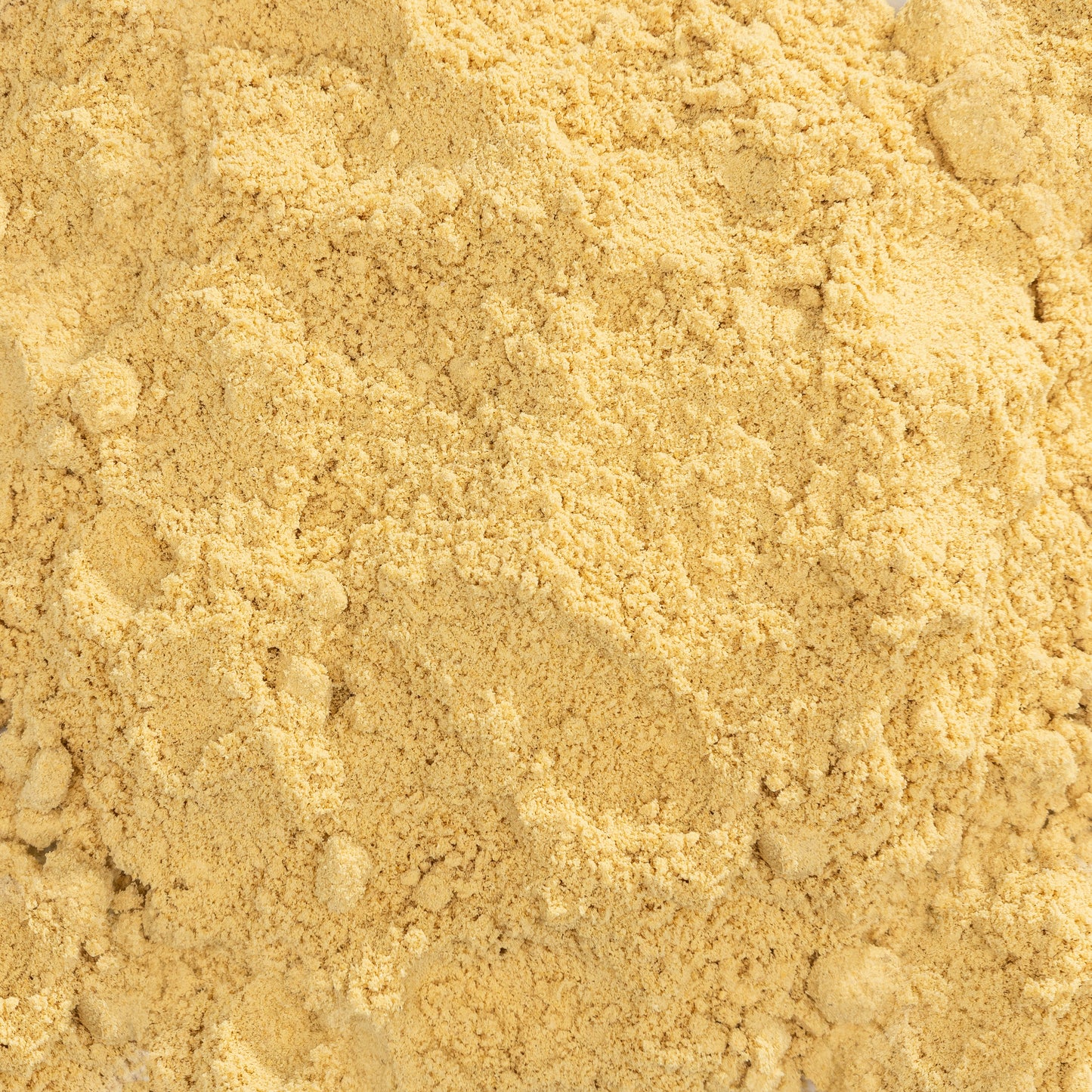 BIO Ginger