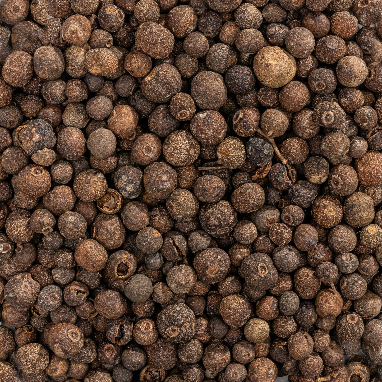 Pimenta da Jamaica BIO
